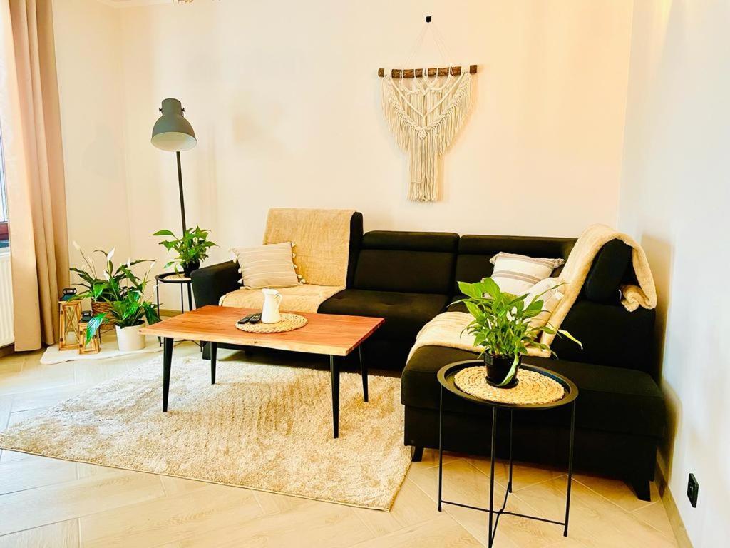 Gorska Cisza - Duzy, Komfortowy, Wyjatkowy Apartament Строне-Слёнске Экстерьер фото
