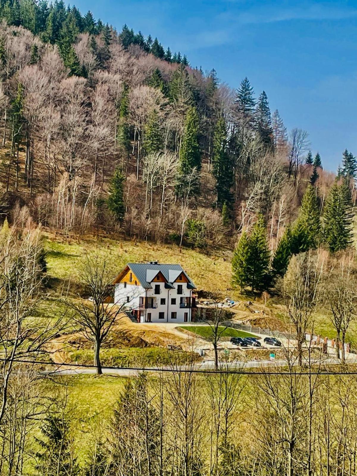 Gorska Cisza - Duzy, Komfortowy, Wyjatkowy Apartament Строне-Слёнске Экстерьер фото